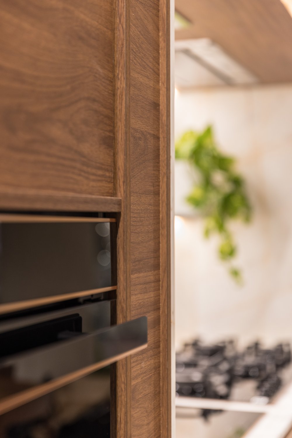 SK House, Lahore (1)